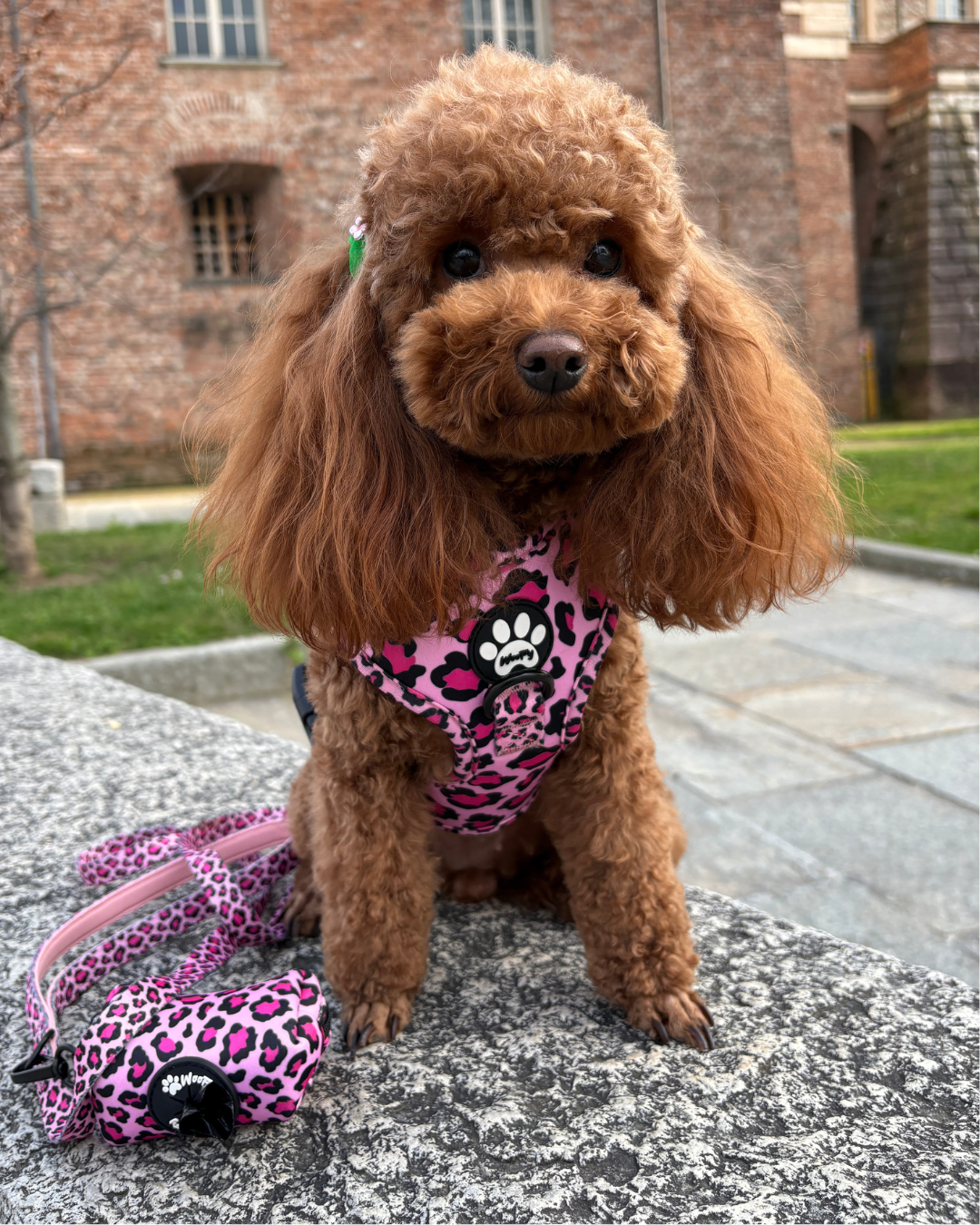 Pettorina Wild Pink