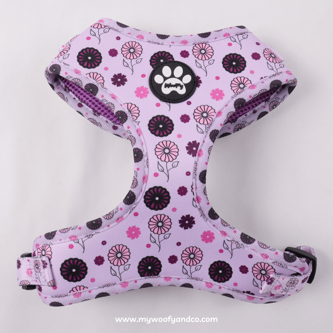 Pettorina Bloomy per cani, fantasia floreale regolabile, vista frontale, comoda per passeggiate.