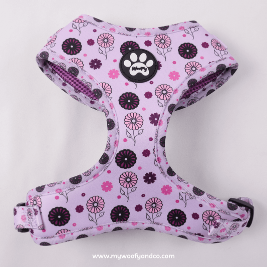 Pettorina Bloomy per cani, fantasia floreale regolabile, vista frontale, comoda per passeggiate.