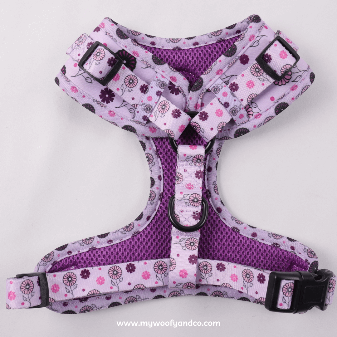 Pettorina Bloomy per cani, retro con fibbie regolabili e chiusura sicura, adatta a tutte le taglie.