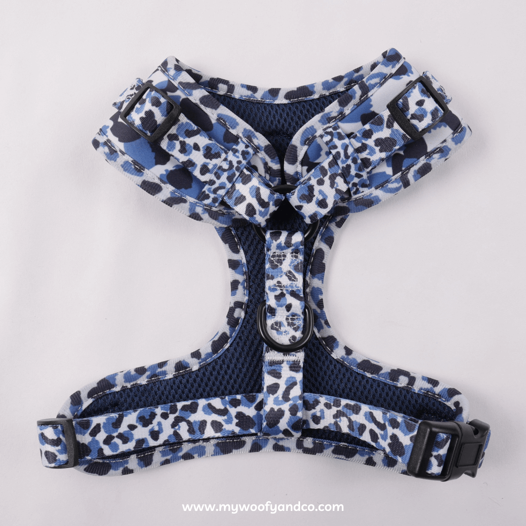 Pettorina Blue Wild per cani, retro con fibbie regolabili e chiusura sicura, adatta a tutte le taglie.