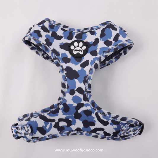 Pettorina Blue Wild per cani, fantasia leopardata regolabile, vista frontale, comoda per passeggiate.