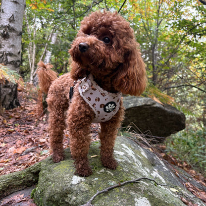 Pettorina Beige Safari