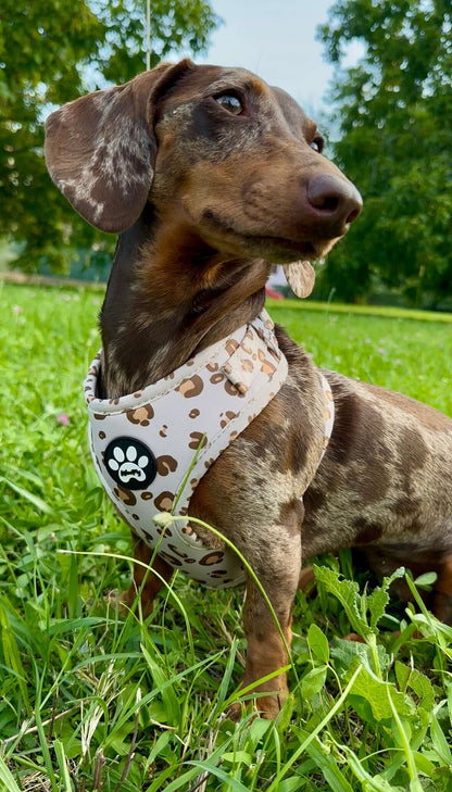 Pettorina Beige Safari