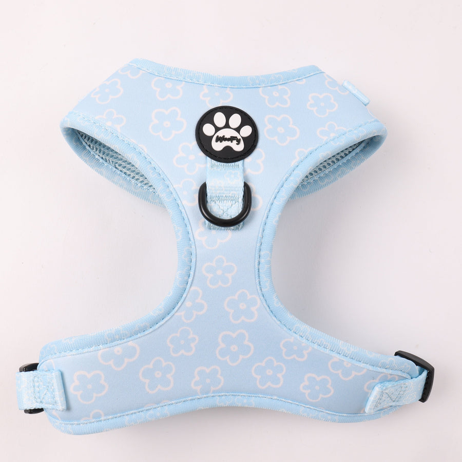 Pettorina Baby Blue