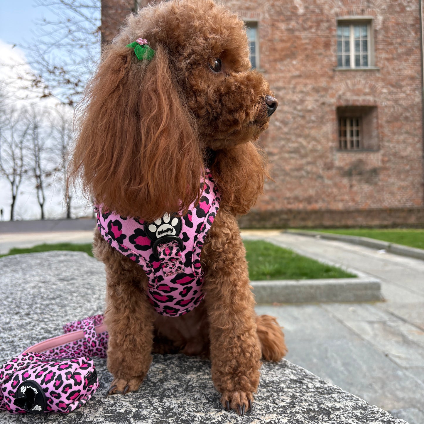 Set Essentials - Wild Pink - Pettorina + Porta Sacchetti