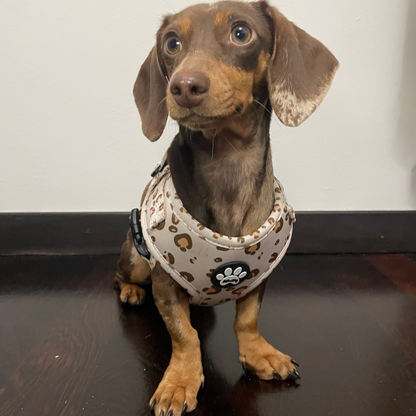 Pettorina Beige Safari