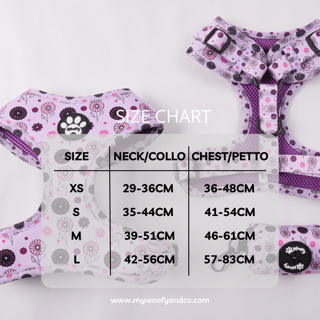 Tabella taglie pettorina Bloomy per cani XS a XL, misure collo e torace per scelta corretta e sicura.