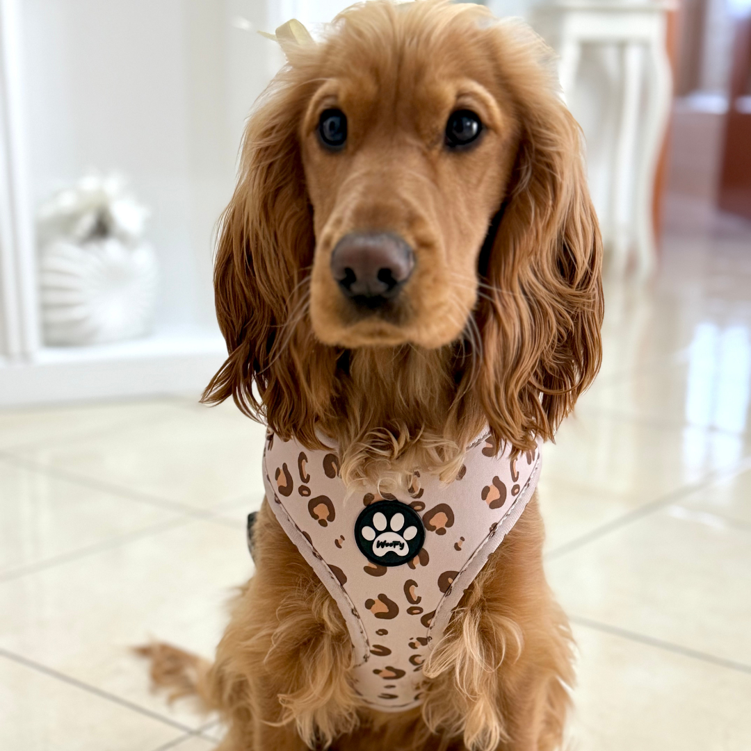 Pettorina Beige Safari