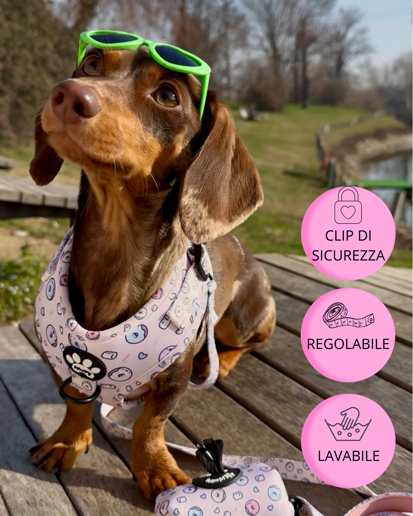 Pettorina Sweet Donut