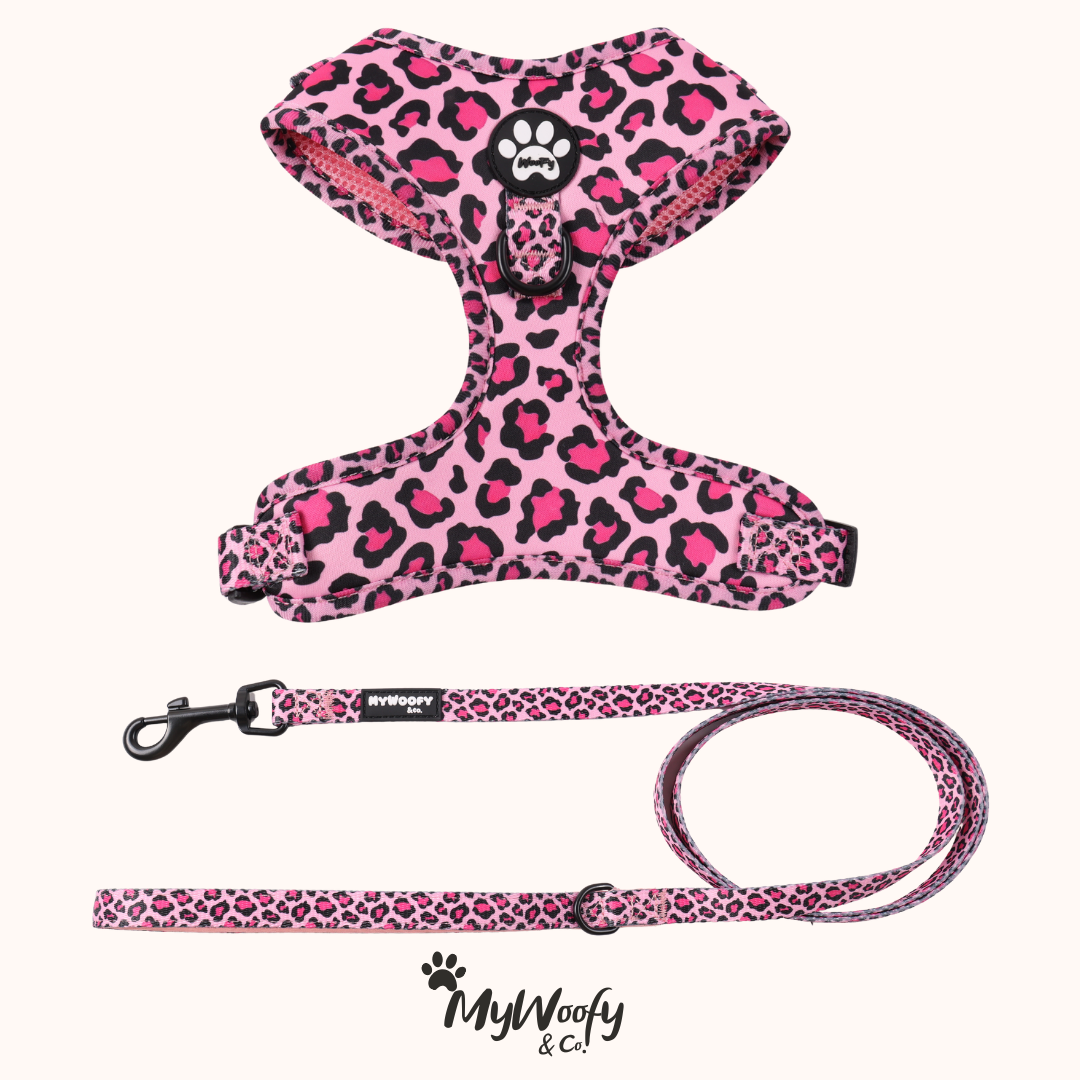 Set Passeggiata - Pink Wild - Pettorina + Guinzaglio