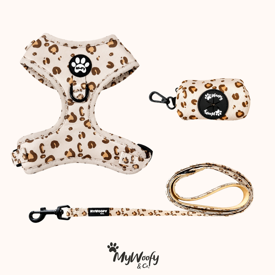 Set Completo - Beige Safari - Pettorina + Guinzaglio + Porta Sacchetti