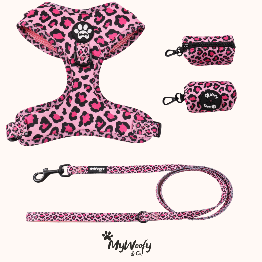 Set Completo - Pink Wild - Pettorina + Guinzaglio + Porta Sacchetti
