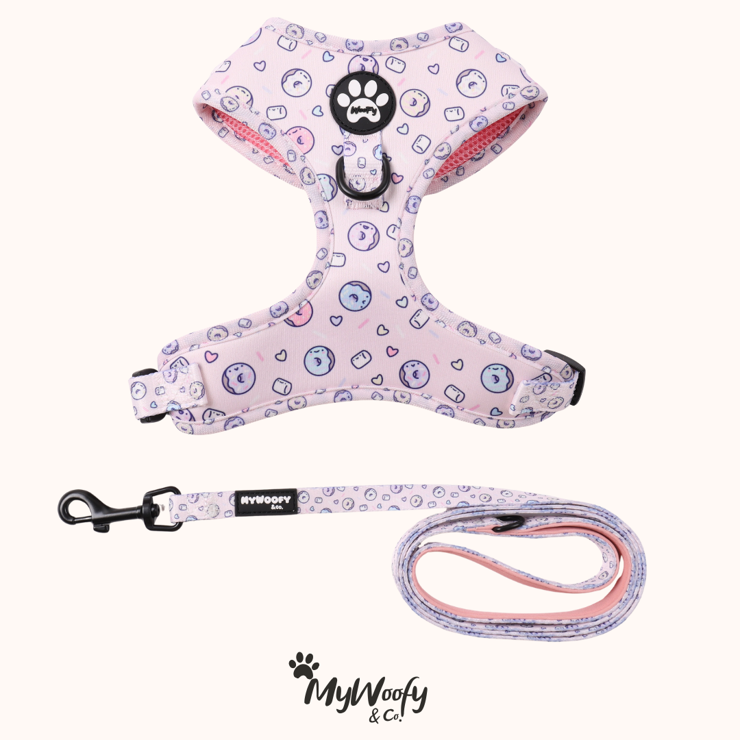 Set Passeggiata - Sweet Donut - Pettorina + Guinzaglio