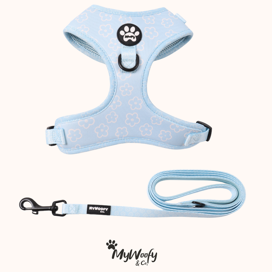 Set Passeggiata - Baby Blue - Pettorina + Guinzaglio