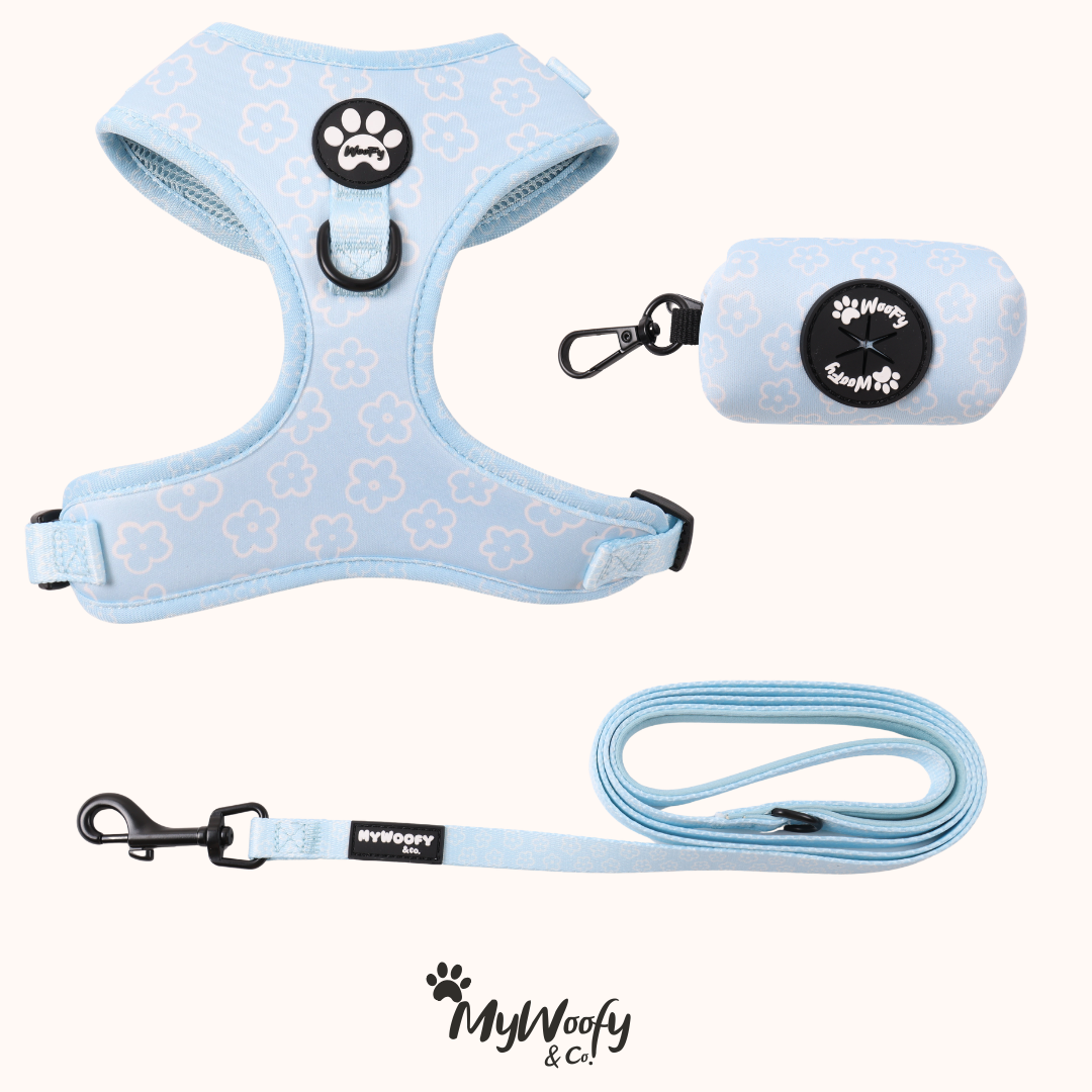 Set Completo - Baby Blue - Pettorina + Guinzaglio + Porta Sacchetti