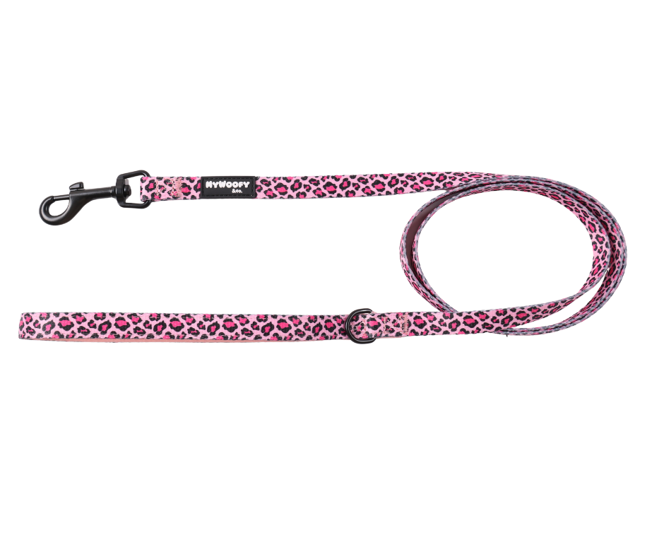Set Passeggiata - Pink Wild - Pettorina + Guinzaglio